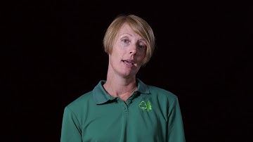 How new generation plantations could help to end global deforestation