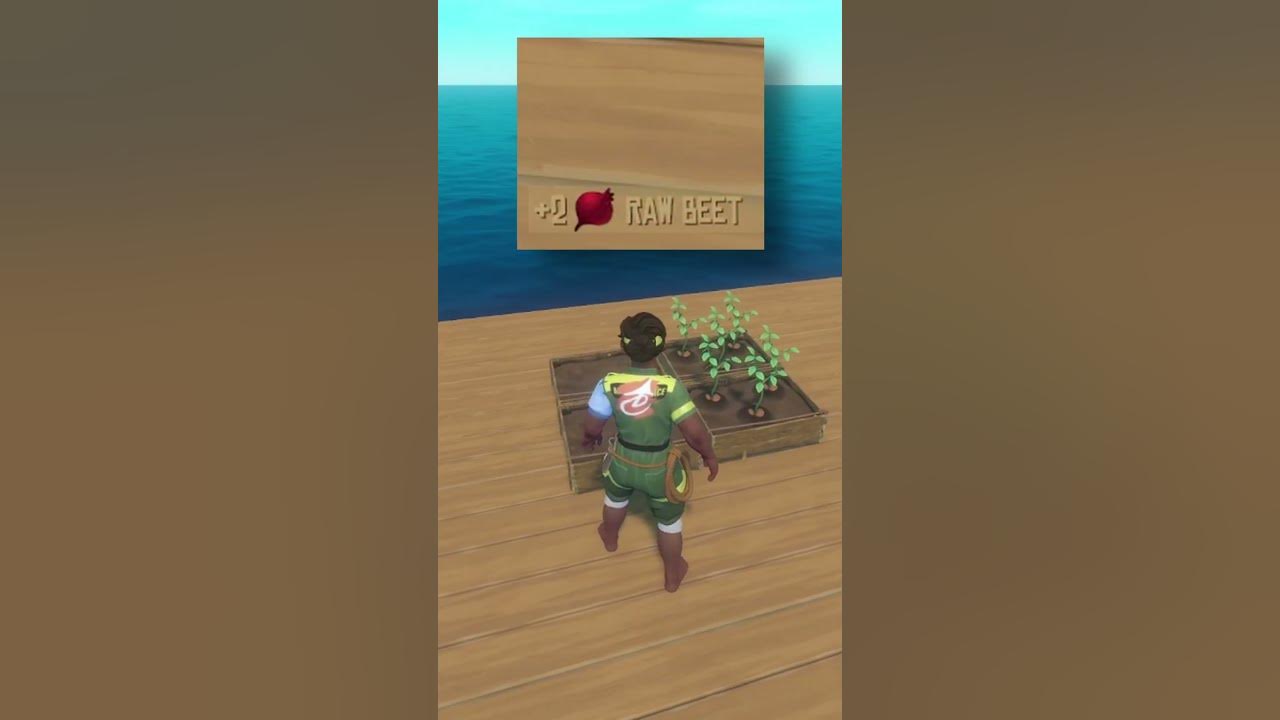 101 Raft Tips 88 Seeds YouTube