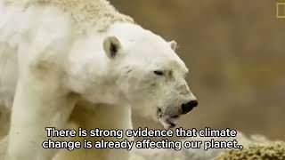 Climate change video 