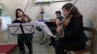 Tale As Old As Time Piano Trio - Piano, Violin & Viola