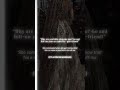 📚 Ruthless Obsession by sharmasayss #shorts #wattpad #booktok #books #youtube #viral