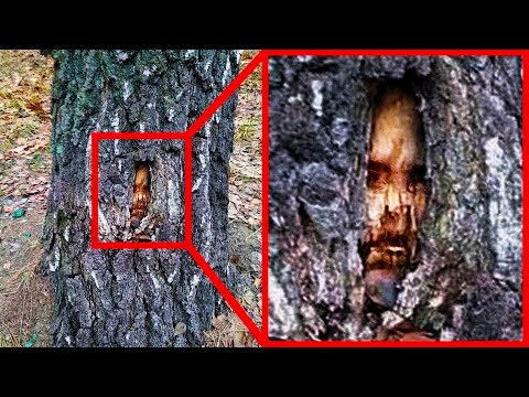 ყველაზე შოკისმომგვრელი ადგილები სადაც ადამიანები აღმოაჩინეს!