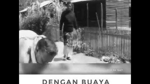 Anak Bapak - scene Nak Kapak😂