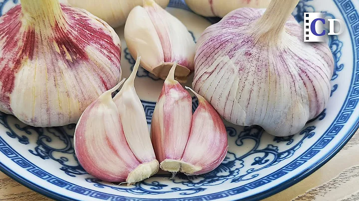 From Farmland To Your Hand [The Garlic Harvest in ...