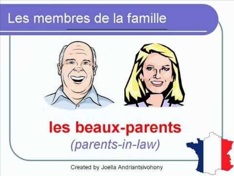 French Lesson 38 - Les membres de la famille (Family members - Miembros de la familia)