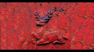 Glass Sky - The Animals Prayer