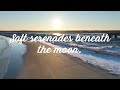 Beneath The Moonlight Veil Video