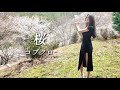 桜/コブクロ【Sakura】flute cover