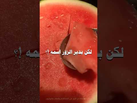 شاسم البطيخ الأحمر بالدير