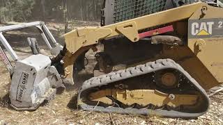 Cat 279d Mulching Pine Trees by Johnny Waters 1,563 views 5 years ago 2 minutes, 40 seconds