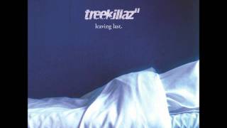 Treekillaz - Waterfall [taken from the album «Leaving Last»]