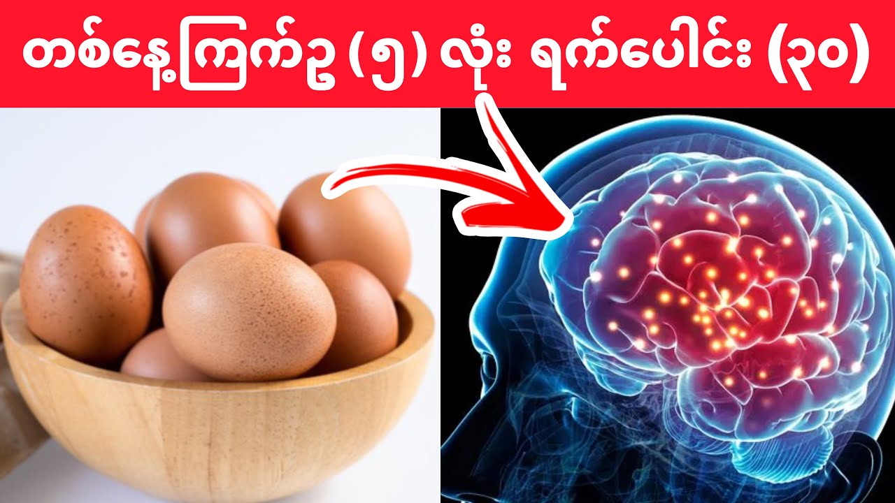 တစ်နေ့ကြက်ဥ (၅) လုံး ရက်ပေါင်း (၃၀) စားရင် ဘာဖြစ်မလဲ? / ဆိုးကျိုး (သို့) ကောင်းကျိုး ?