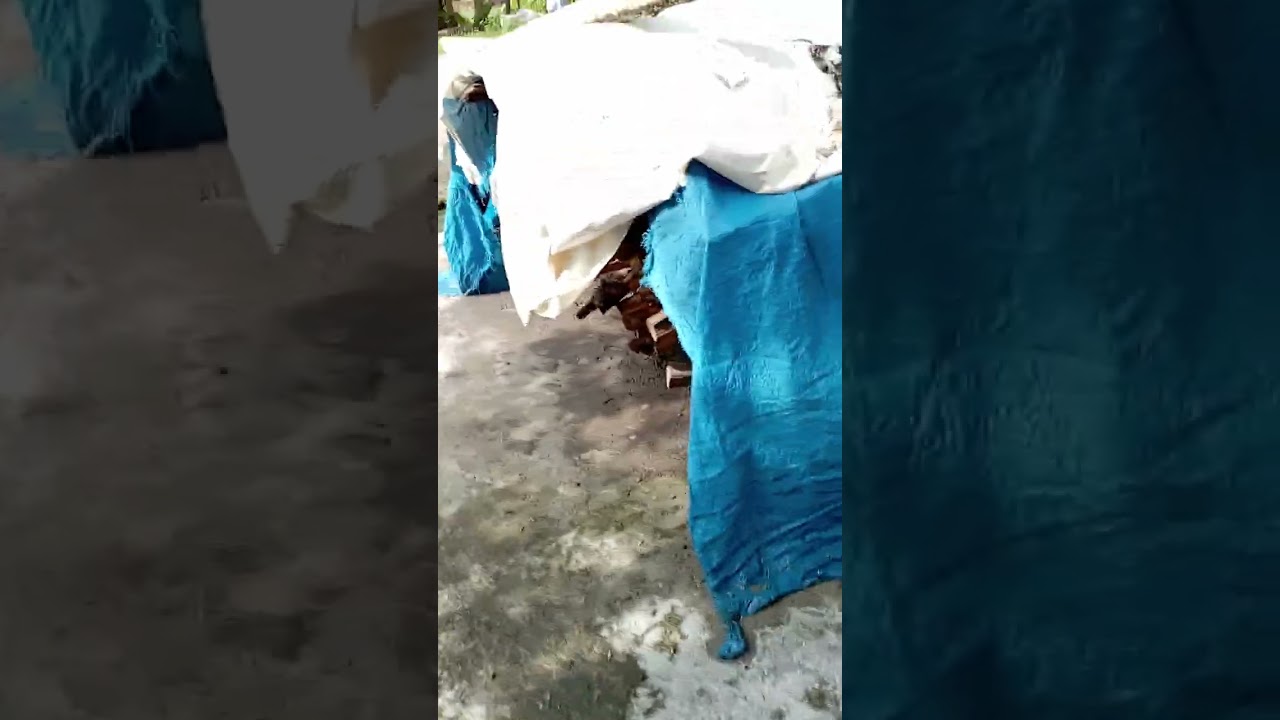 Part satu berpetualang