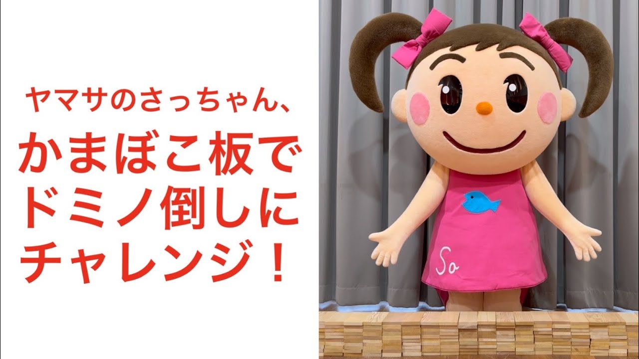 かまぼこ板でドミノ倒し【ヤマサのさっちゃん、チャレンジしてみた