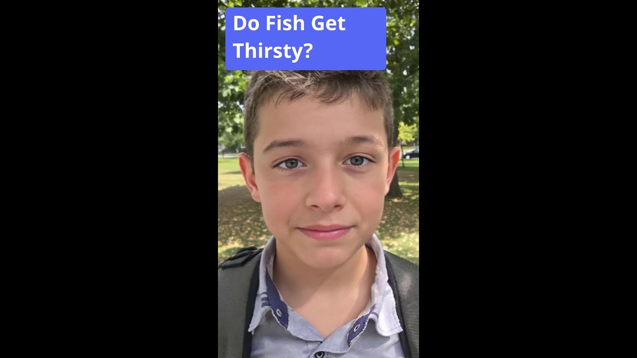 Do Fish Get Thirsty? | Encyclopedia Pete