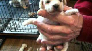 kassie04222016m1m2f3 on 5 1 2016