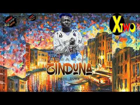 Buda zoni   ZINDUNA Official audio singeli