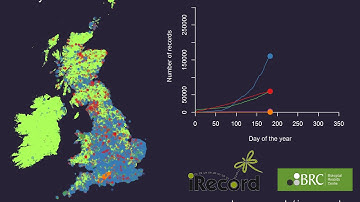 A year of biological recording - iRecord in 2017
