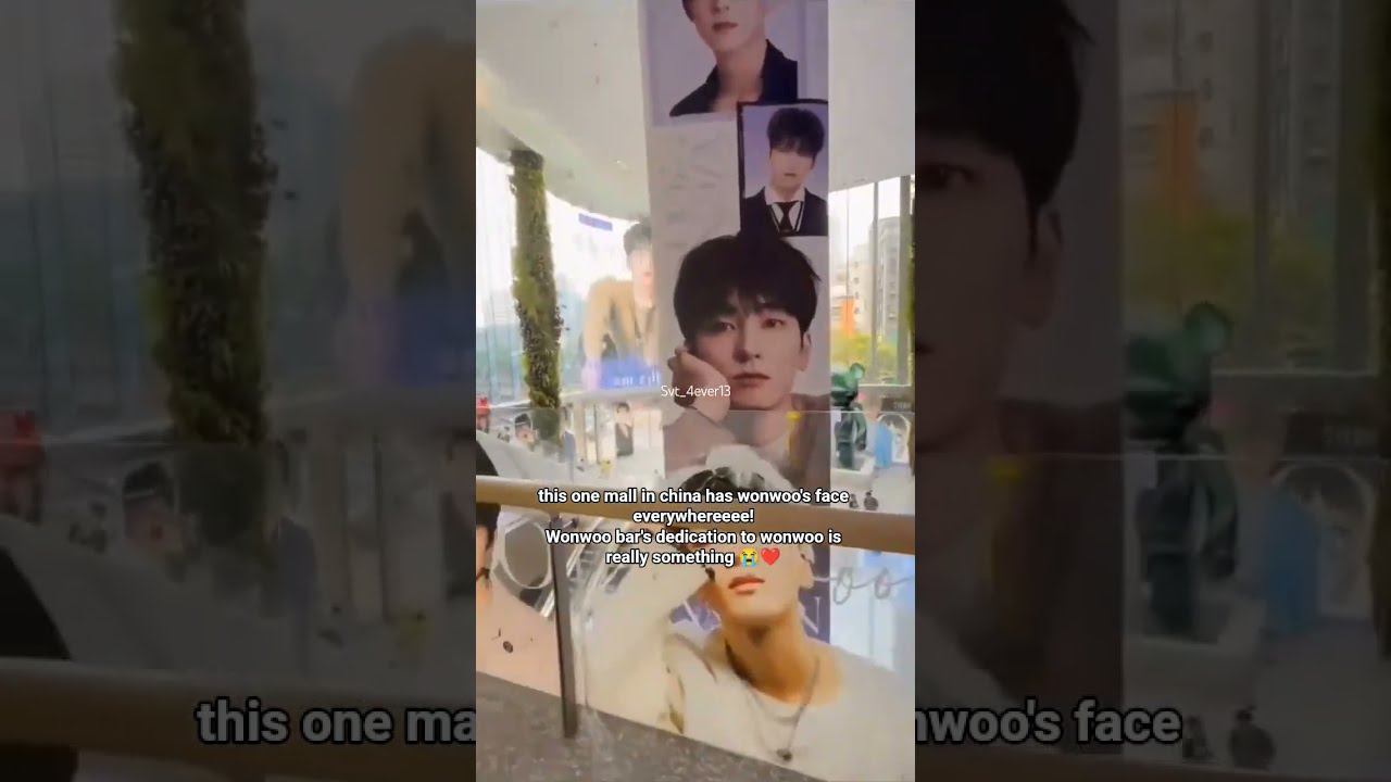I will do anything to visit a mall like this 😭❤️#wonwoo #svt #seventeen #jeonwonwoo