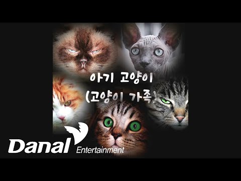 잠꾸러기 빨간양 (Sleepy Red <strong>Sheep</strong>) - 아기 고양이 (고양이 가족) | Funny Song (아기 고양이)