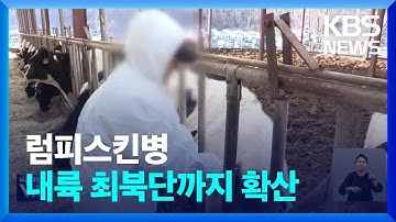 내륙 최북단까지 확산 외 [큐레이터 W] / KBS  2023.10.24.