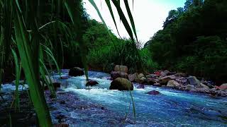 Streamside Sanctuary – Release, Relax, Renew | sleep - relax - enjoy life - ASMR