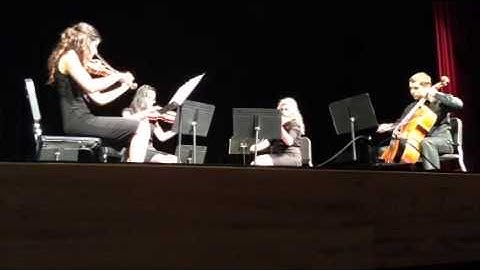 How To Save. Life- The Fray (string cover)