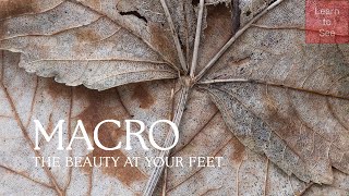 Download Lagu Seeing Macro Subjects that Others Walk Past MP3