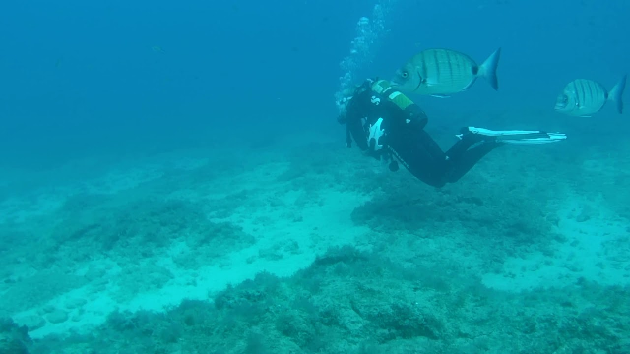 Fuerteventura diving YouTube