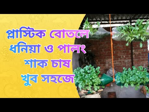 ভিডিও: ডাঃ ব্রাউন বোতলের কি বিভিন্ন স্তনের বোতলের আকার আছে?