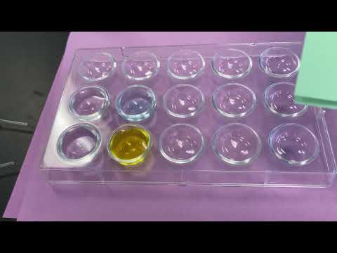 Lab 7.1 - video reactions