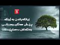 دەنگی زەوی زیانگەیاندن بە ژینگە پێش هەڵگیرسانی جەنگەکان دەستپێدەکات