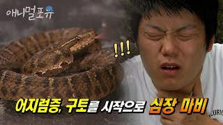 시청자 요청🚛 치명적인 뱀독을 가진 독사에게 물렸을 때 대처법? | KBS 위기탈출 넘버원 120924 방송