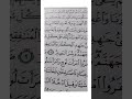 باب التوبة مفتوح لعبادالله وهذه هي الجائزة بشراك ياتائب من ربك عطاء كبير ينتظرك صل الله وسلم علي اله