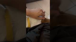 Relaxing Father-Daughter Massage Time