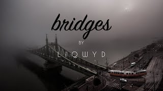 LiQWYD - Bridges