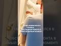 🚽 ЗАШЁЛ В ТУАЛЕТ… А ТАМ СОВЕЩАНИЕ ПО РЕМОНТУ! 😂🔨