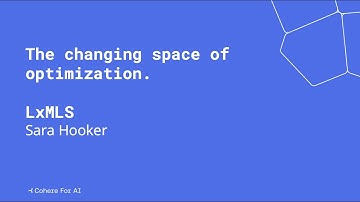 Talk: Changing Space of Optimization (Sara Hooker)
