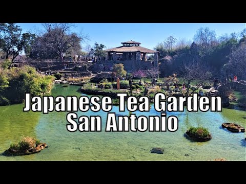 Japanese Tea Garden San Antonio Texas Tour 2022