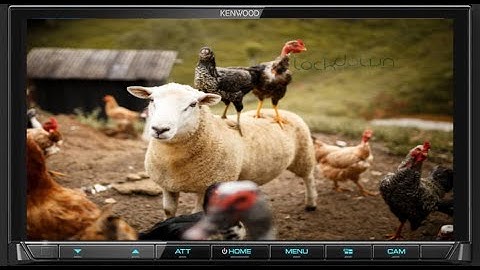 Kenwood Excelon DMX958XR is BEST for the FARM??