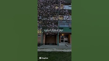 تلاوة خاشعة 🥺🤍  _كروما خلفية سوداء _ محمد ايوب _قران شاشة سوداء #قرآن