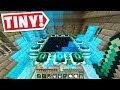 Minecraft But IN A TINY BARRIER (Finale)