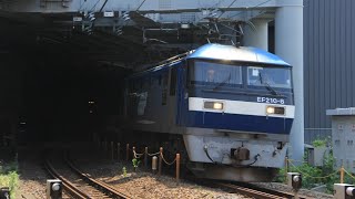 【JR北方貨物線】横関踏切 貨物(EF210-8) 通過