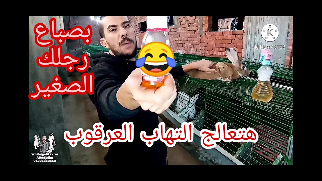 هتعالج التهاب عرقوب الارنب بصباع رجلك الصغير 😂