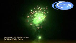 БСП19100125 ЗОО 01