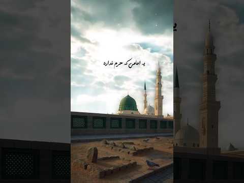 شهادت امام حسن مجتبی علیه السلام امام حسن مجتبی غریب امام حسین نجف