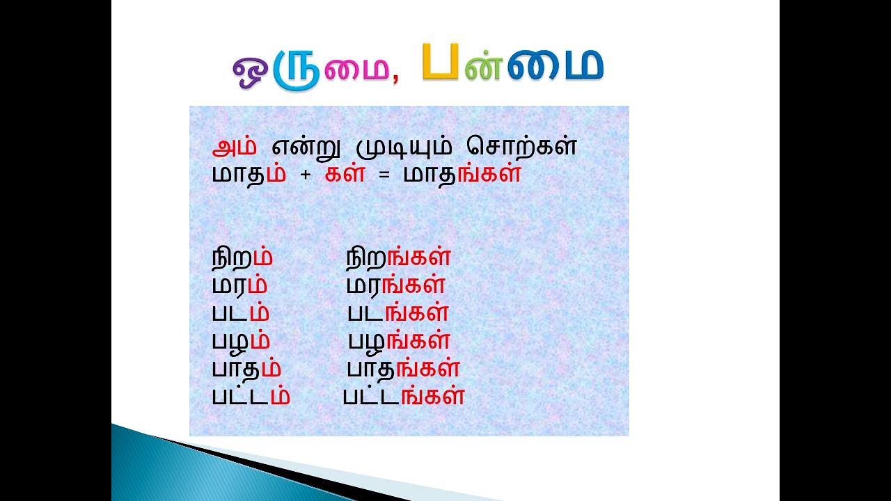 singular-plural-11-tamil-grammar-youtube