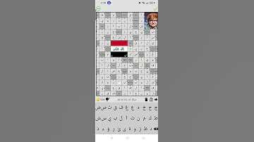 حل الكلمات المسهمة الشبكة 117 