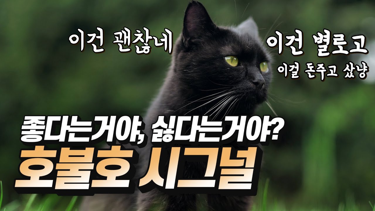 고양이가 화장실, 물그릇 좋아한다? 싫어한다? 고양이의 호불호 알 수 있는 방법