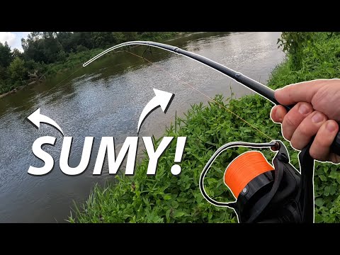 SUMY NA WĄTRÓBKĘ